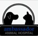 Ambassador Animal Hospital - Windsor, ON N9B 1T5 - (519)971-3100 | ShowMeLocal.com